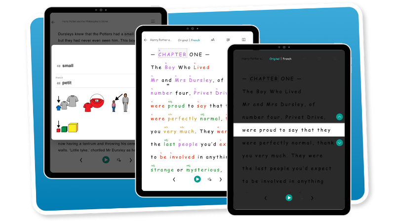 eplatform-reading-support-ebook-immersive-reader